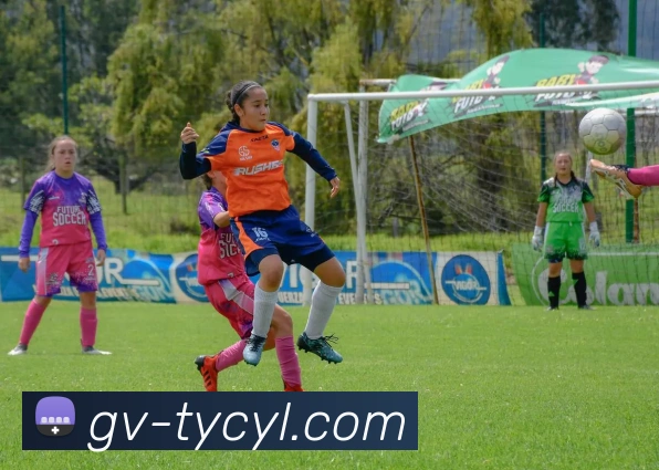 太阳城网站平台生态图