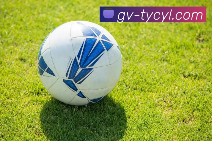 太阳城网站全站App 太阳城网站全站App